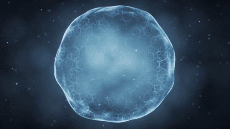生物医药项目风险评估：企业如何规避潜在风险**
