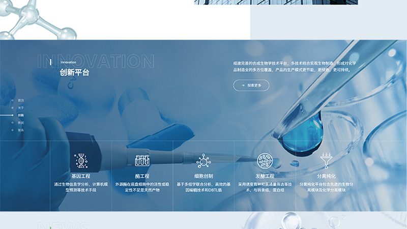 抗体产品质检报告编号查询，揭秘合规之路