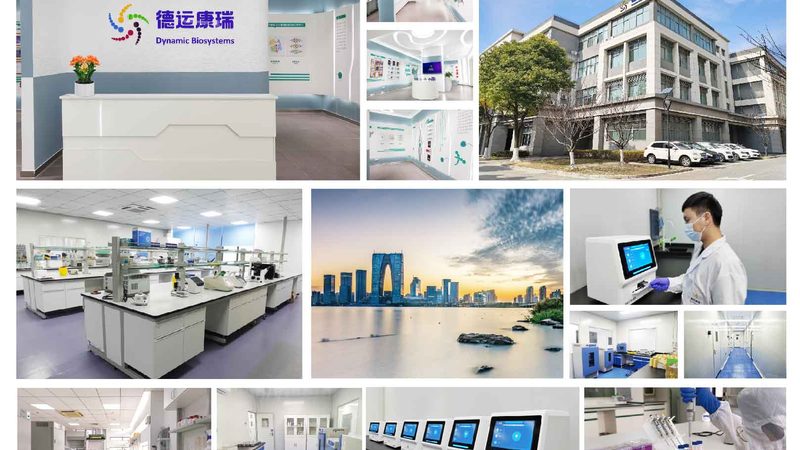兔多克隆抗体制备：流程揭秘与关键步骤**