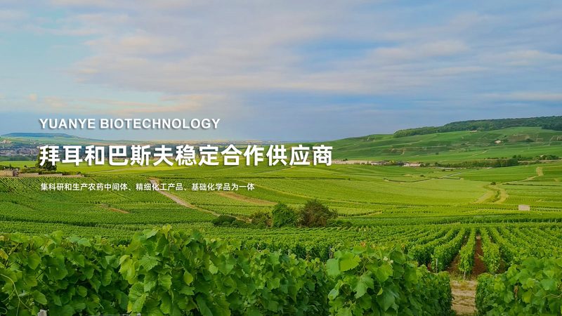 上海分子生物学试剂品牌排名