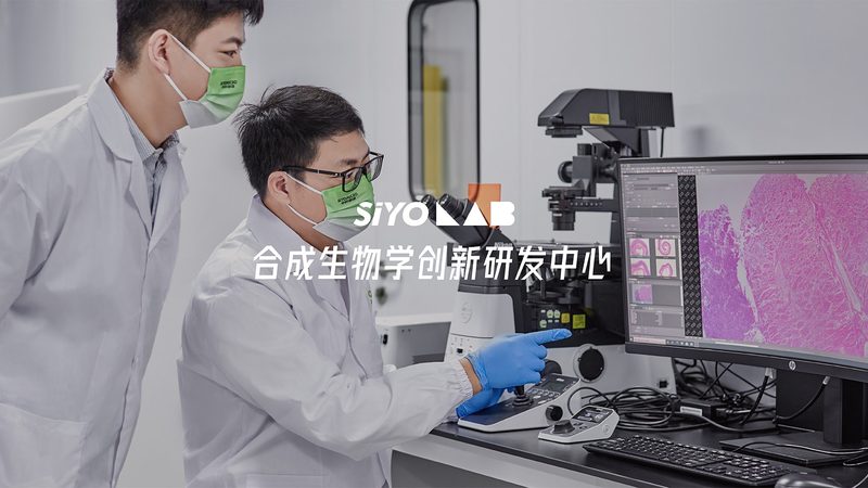 干细胞培养箱：关键参数解析与选型要点**