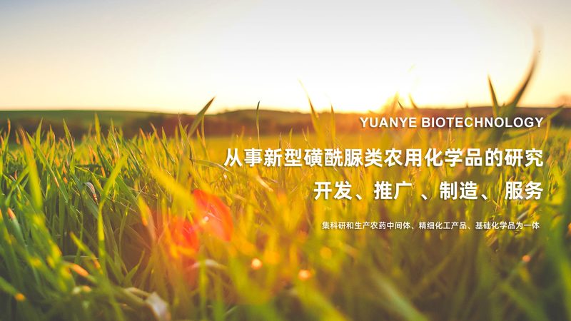 多道移液器售后，如何选择靠谱的合作伙伴？**