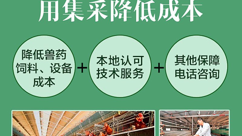 临床前外包公司：揭秘其优缺点，助力研发成功**