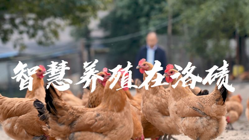 CDMO行业准入资质：揭秘医药研发背后的合规密码