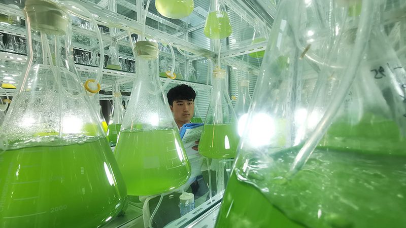 上海诊断用生物试剂：揭秘其研发与质量控制**